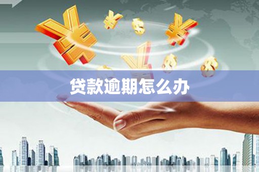 海淀贷款逾期怎么办