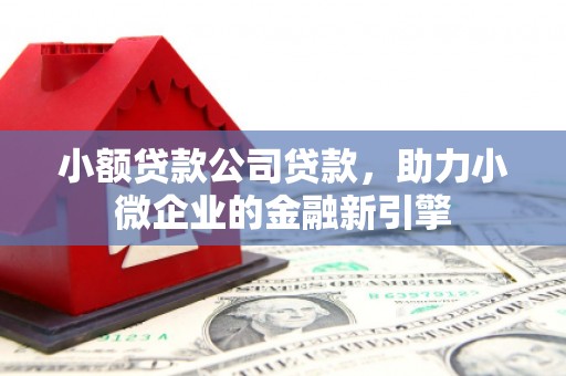 海淀小额贷款公司贷款，助力小微企业的金融新引擎