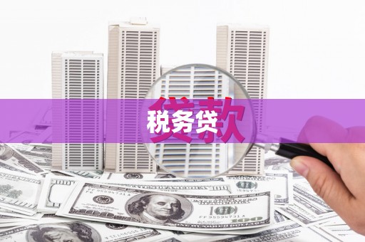 海淀税务贷