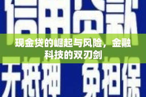 海淀现金贷的崛起与风险，金融科技的双刃剑