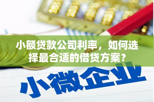 海淀小额贷款公司利率，如何选择最合适的借贷方案？