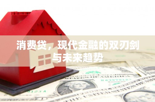 海淀消费贷，现代金融的双刃剑与未来趋势