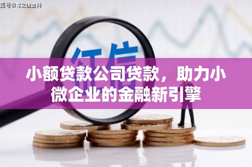 海淀小额贷款公司贷款，助力小微企业的金融新引擎