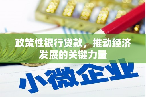 海淀政策性银行贷款，推动经济发展的关键力量
