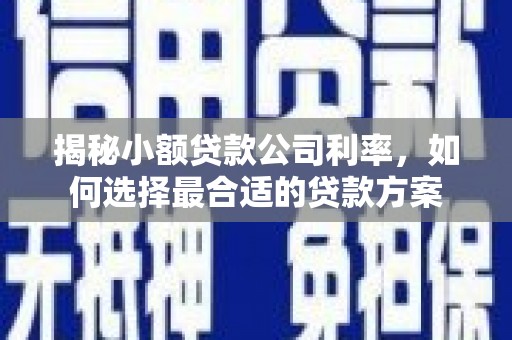 海淀揭秘小额贷款公司利率，如何选择最合适的贷款方案