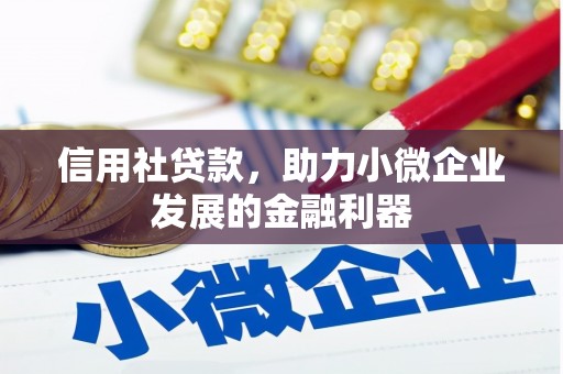 海淀信用社贷款，助力小微企业发展的金融利器