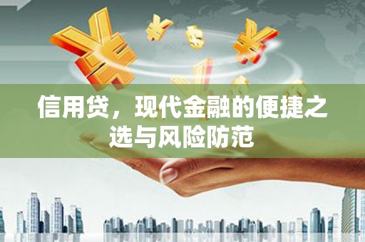 海淀信用贷，现代金融的便捷之选与风险防范