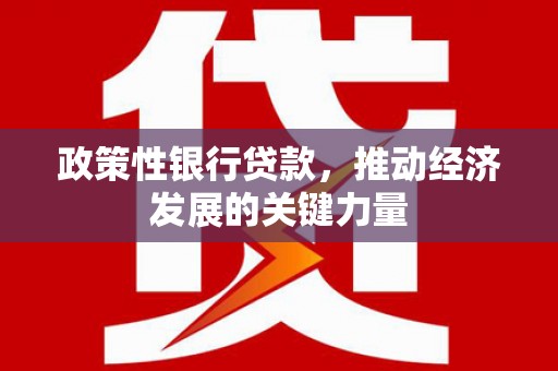 海淀政策性银行贷款，推动经济发展的关键力量