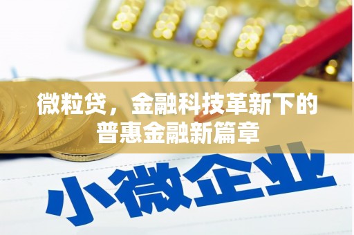 海淀微粒贷，金融科技革新下的普惠金融新篇章