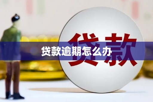 海淀贷款逾期怎么办