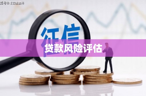海淀贷款风险评估