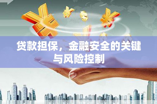 海淀贷款担保，金融安全的关键与风险控制