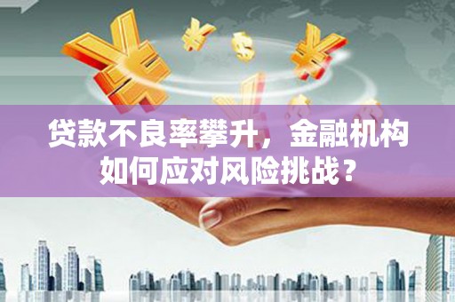 海淀贷款不良率攀升，金融机构如何应对风险挑战？