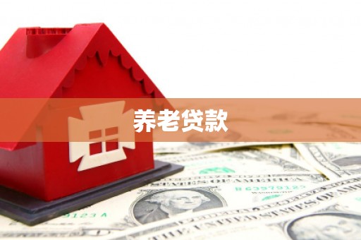 海淀养老贷款