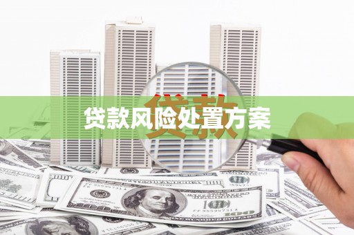 海淀贷款风险处置方案