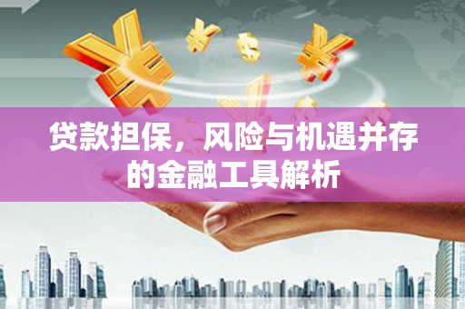 海淀贷款担保，风险与机遇并存的金融工具解析