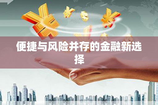 海淀便捷与风险并存的金融新选择