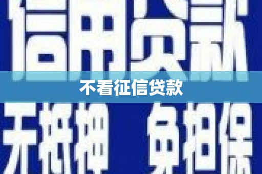 海淀不看征信贷款