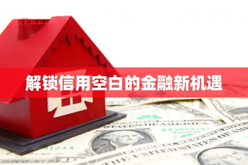 海淀解锁信用空白的金融新机遇