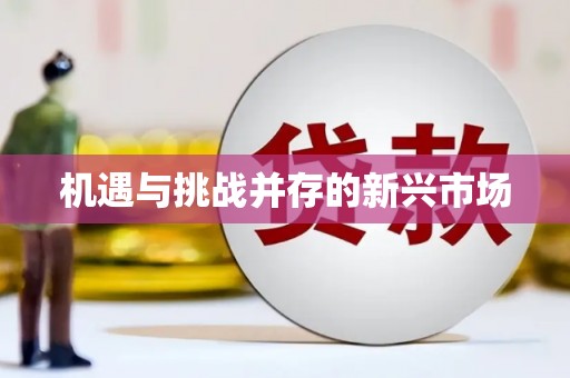海淀机遇与挑战并存的新兴市场