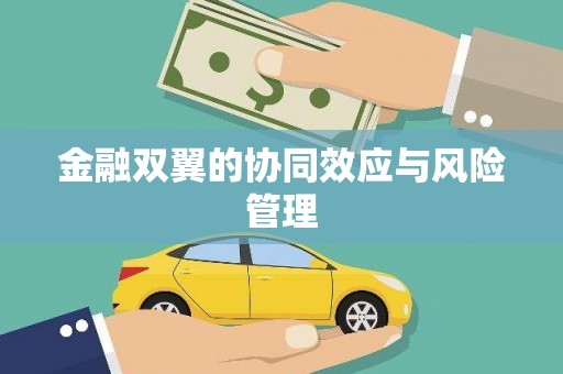 海淀金融双翼的协同效应与风险管理