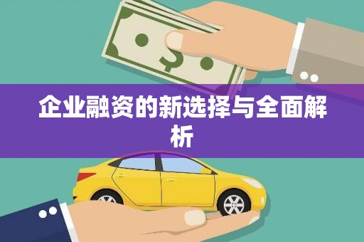 海淀企业融资的新选择与全面解析