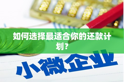 海淀如何选择最适合你的还款计划？
